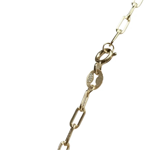 Gold Paperclip Chain with Abalone Locket Charm