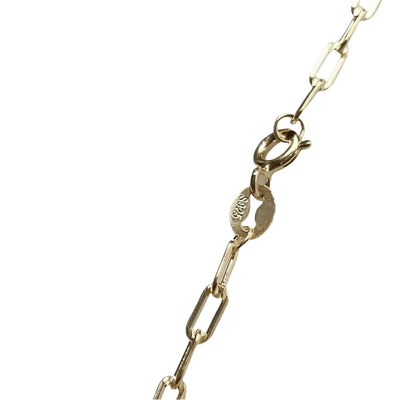 Gold Paperclip Chain with Abalone Locket Charm